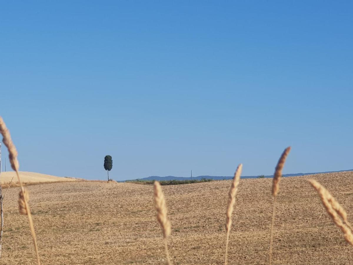 Apartamento Dimora In San Quirico dʼOrcia Exterior foto